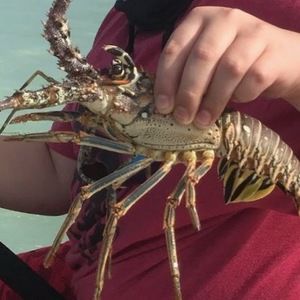 Meet your Posher, Colin